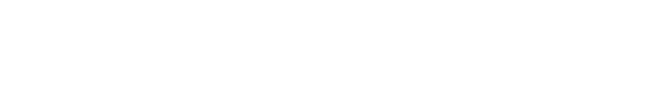 UNIVERSAL s.r.l. logo with text